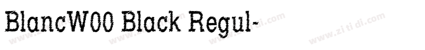 BlancW00 Black Regul字体转换